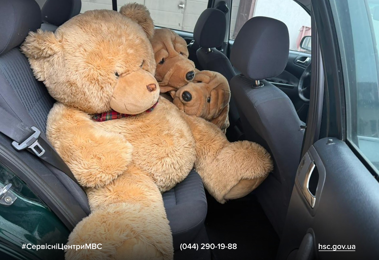 WhatsApp-Image-2025-12-08-at-12.24.11-1