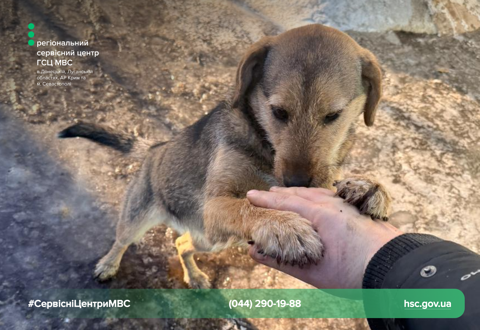 Сайт - Правий верхній кут - чорний логотип (2)